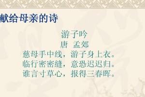 母爱无限（母亲和女儿之间的感人故事）