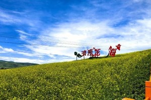 小镇的春天（小镇的春天）