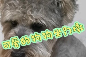 ACompanionforLife（TheJoyandChallengesofRaisingaDog）