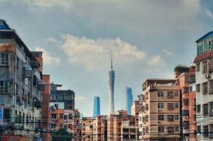 六：在山顶上，他和小狗仰望星空，感受到了大自然的神秘和力量。