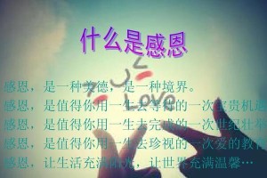 感恩，美丽的心灵（小故事，大启示）