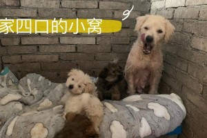 希望永远存在于温暖的家庭中（一个小女孩的成长之路）