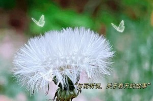 追寻细节，发现美好（一个平凡人的不平凡生活）