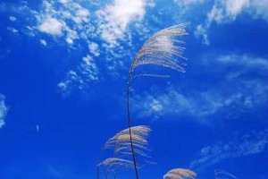 相信幸福如此简单