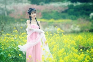 梦里寻桃花源（记一次梦中探寻桃花源之旅）