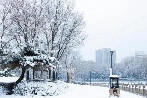 冬日里的童话世界——雪