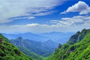 阳光下的爱情（春天里爱的芬芳）