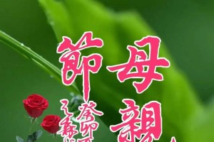 母爱的力量（一个母亲和儿子的故事）