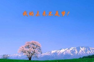 我的未来不是梦（努力向前，才有成功的可能）