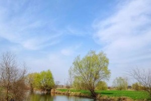 春天里的故乡（温暖的阳光、绽放的花朵、醇香的泥土）