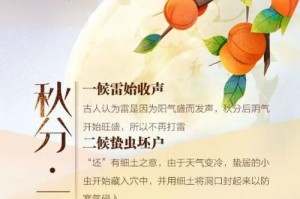 秋日里的小杨