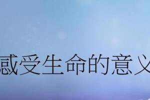 寻找内心的声音（一个女孩的成长之路）