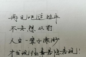 不会迷失方向——小狗的故事（一个小狗寻找家的漫长旅程）