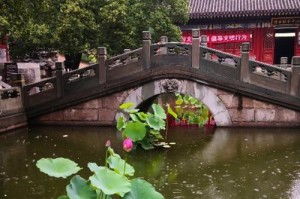 雨中相遇（一场美丽的雨景下的邂逅）