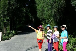《翠绿山间的小路》（一个渴望自由的年轻人在寻找自我的旅程）