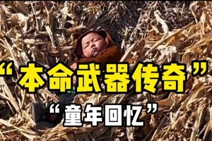 回忆童年的美好时光（回忆童年的美好时光）