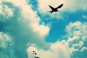 友谊如太阳：陪伴你我成长的光