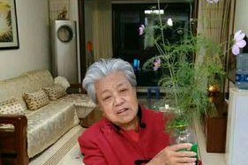 我非常佩服妈妈-一个伟大的女人