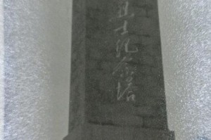 宝贵回忆（回忆往昔，珍惜当下）