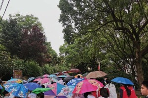 “小丽的惊奇发现”（“欢乐的校园生活”）
