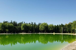 风景独好（在山林中流浪的少年）