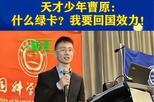 《献身国家的少年》