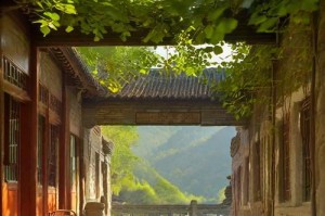 一位坚定的信仰者（一位坚定的信仰者）