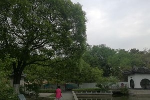 公园里的邂逅（爱情在花丛中绽放）