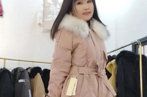 珍宝人生（追逐财富的故事）