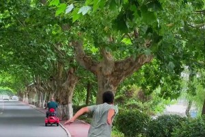 回家的故事——一次心灵的独白（重温故地，人生的回顾与启示）