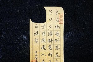 母爱伟大（万水千山，母爱相随）