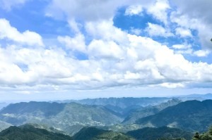 保护环境，创造美好未来（绿水青山，就是金山银山）