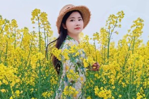 建设春天（从破败到繁华，他们用勤劳和智慧改变了一切）