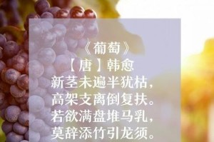一个人的内心历程（一个人的内心历程）