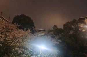 奔向山间小溪，找寻我的美景（奔向山间小溪，找寻我的美景）