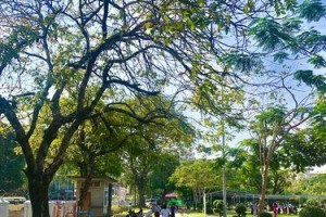 时光隧道（回到过去，触摸岁月）