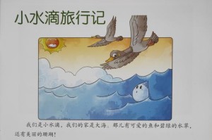 寻找世界之美（一次美丽的旅行）