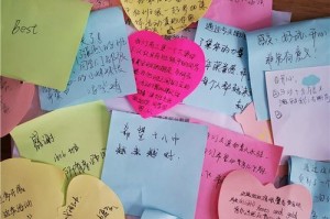 青春的梦想（努力追求，终实现）