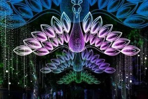 点亮希望（一盏灯的故事）
