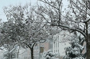 雪落江南（那个下雪的冬天）