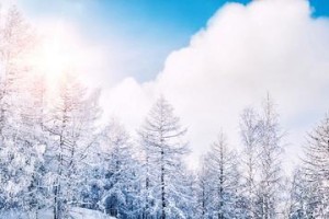冬季迷人景色：冰雪奇观