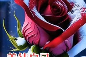 善念如水（平凡的生活中的大爱）
