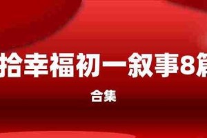 捡拾幸福：一个人的旅程