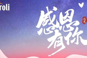 感恩有您一路随行（从陌生人到知己，我们的故事）