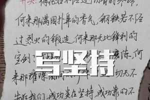 坚持不懈，成功之道（一个小乞丐的奋斗史）