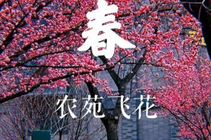 《春天的韵律》