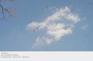 雨中友情（两个人之间的微妙变化）