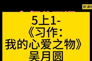 我的心爱之物