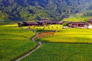 TheBeautyofCountryside（AStoryofLoveandNature）