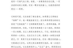 人与狗的故事（人与狗的故事）